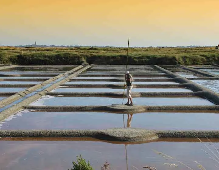 A paludier working the Guérande salt marshes at sunset, standing on a clay bank between shallow pools