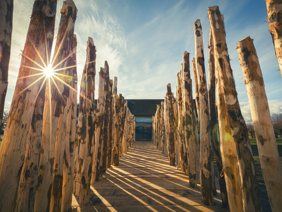Reconstructed timber causeway at Flag Fen, with rows of upright wooden posts casting long shadows