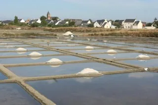 Small white mounds of harvested salt drying on the clay banks of the Guérande salt pans