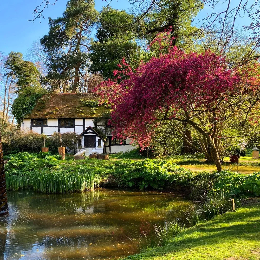 The Grade II-listed Black & White Cottage at the Hannah Peschar Sculpture Garden, seen across the pond beneath a flowering tree