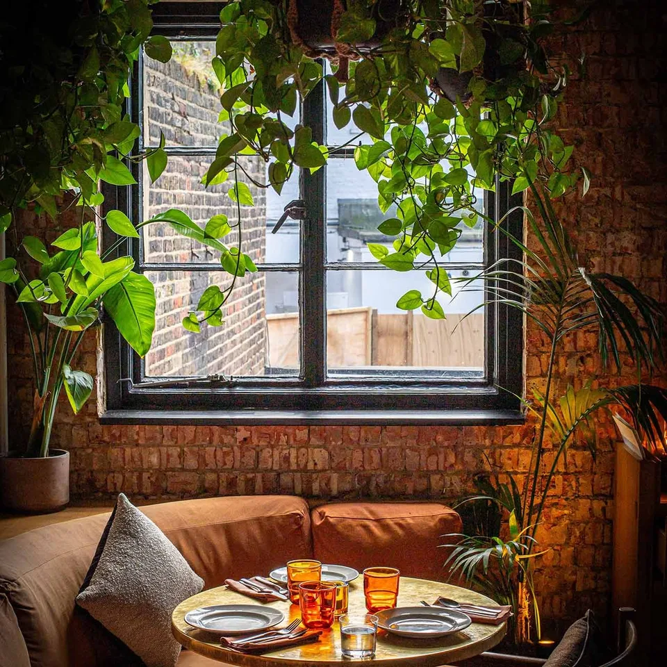 A table for four beneath a first-floor window hung with trailing plants at Gold, Notting Hill