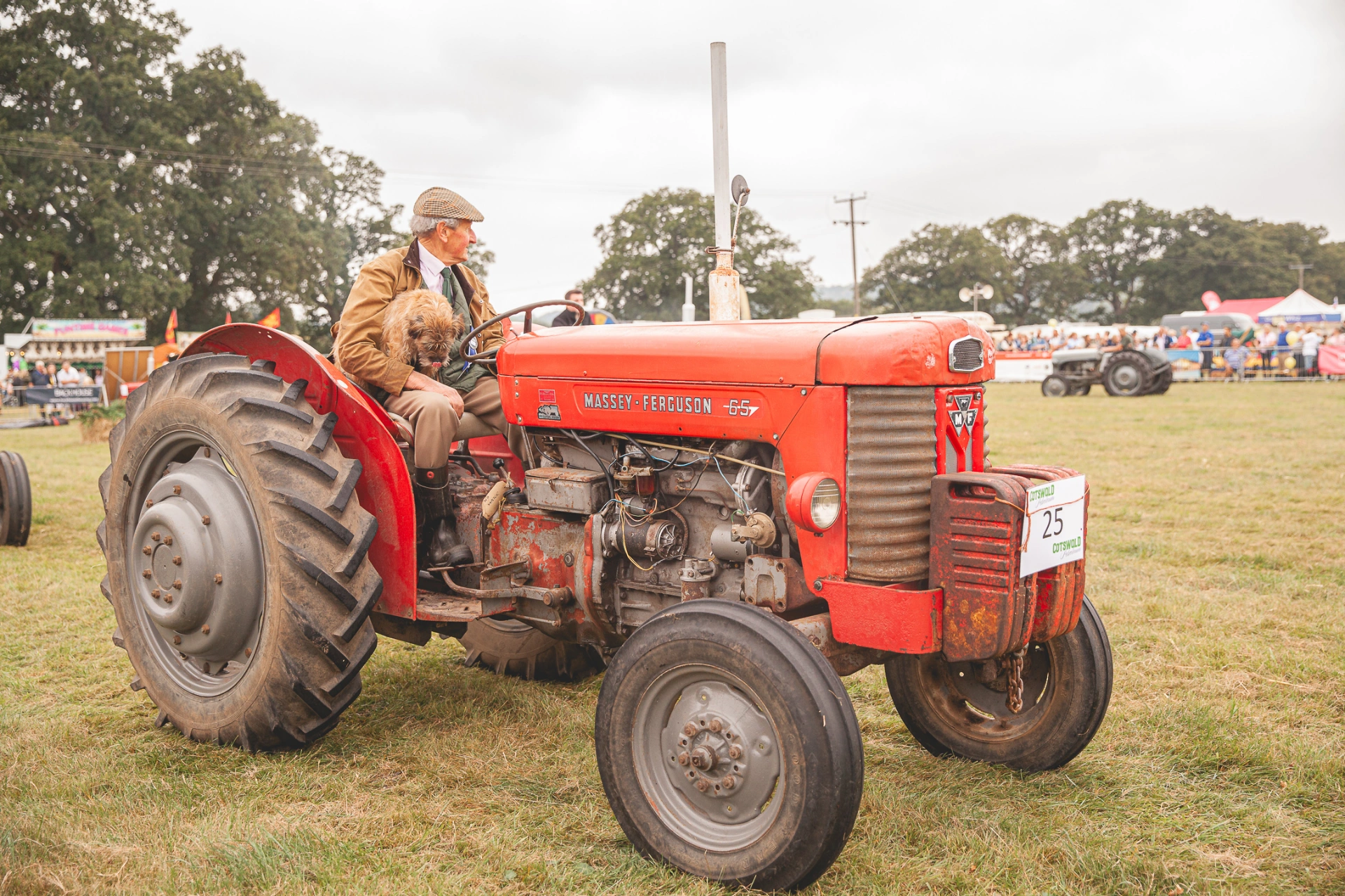 A vintage red Massey Ferguson 65 tractor at Moreton Show, its driver in a tweed cap with a small dog on his lap