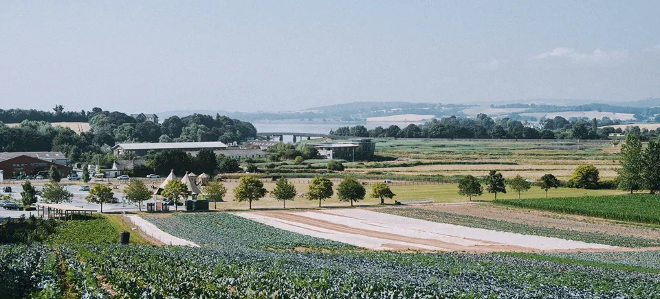 The fields of Darts Farm running down towards the Exe Estuary, with the farm buildings and food hall beyond